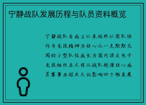 宁静战队发展历程与队员资料概览
